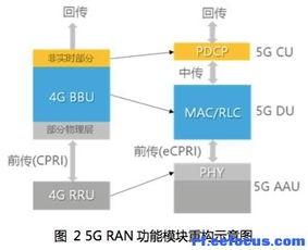 解锁未来高速网络 深入解读5G光传送网（OTN）技术及其网络服务